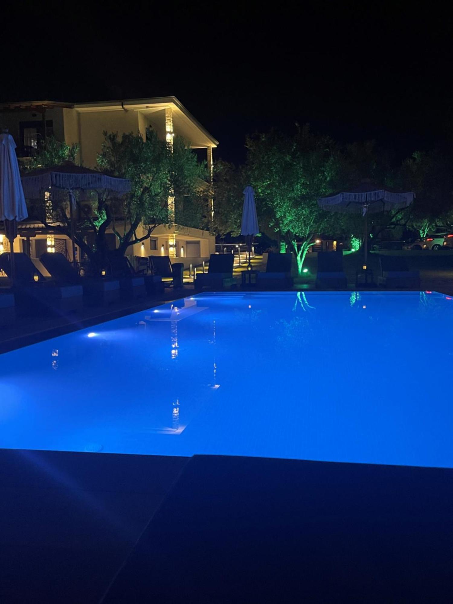 Olia Seaside Residence 120M From The Beach 佩科霍里 外观 照片